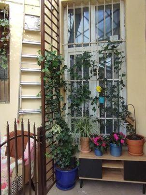Miodowa Kazimierz Apartment Krakov Exteriér fotografie